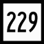 CT 229