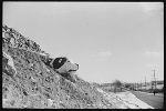 Rock painted like dog, Route 165, in 1940.